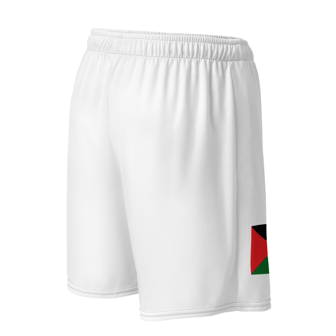 Men mesh shorts - Palestine Flag, Recycled Unisex Mesh Shorts White Right
