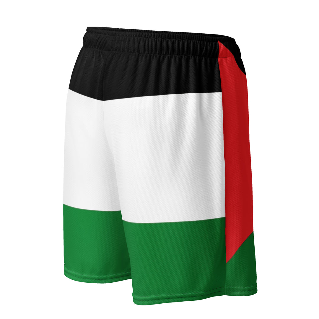 Men mesh shorts - Palestine Flag, Recycled Unisex Mesh Shorts White Right