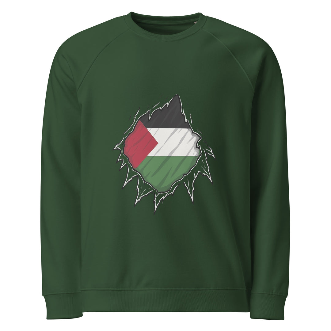 Men organic raglan sweatshirt - Palestine Hero, Green