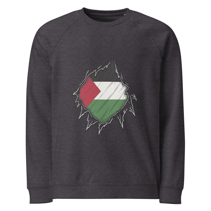 Men organic raglan sweatshirt - Palestine Hero, Charcoal Melange