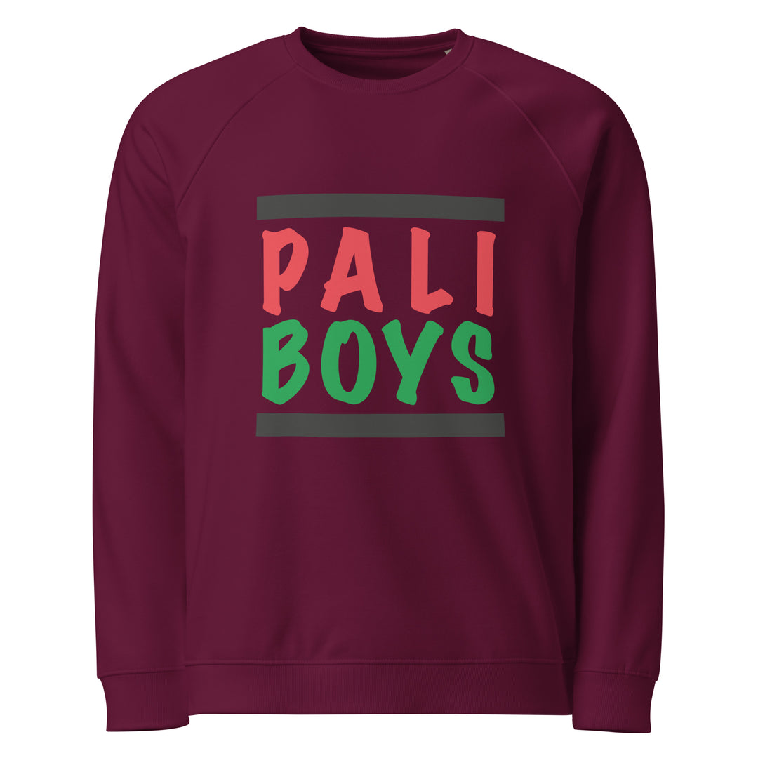 Men Organic Raglan Sweatshirt - Palestinian Boys, Burgundy