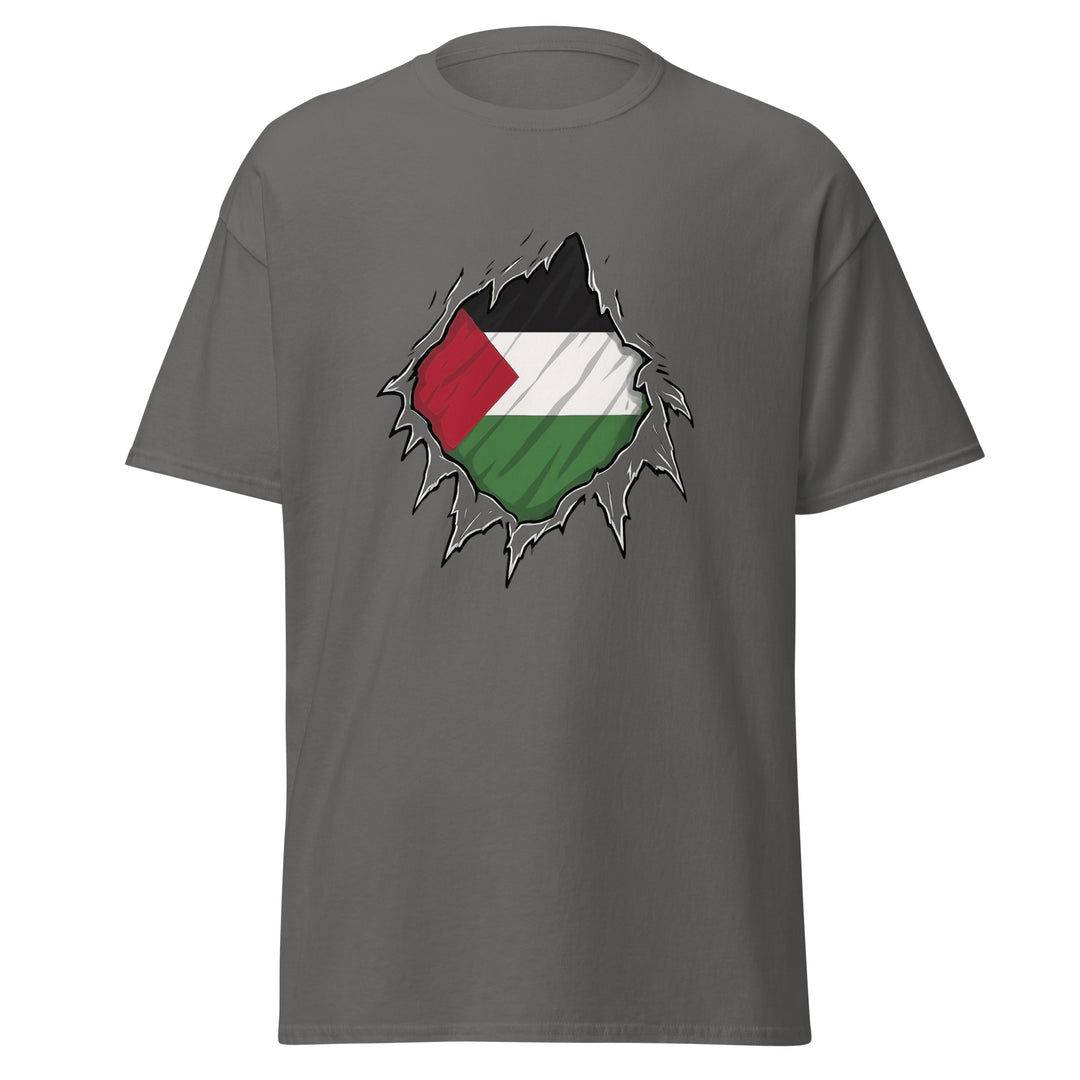 Men’s Classic Tee - Palestine Hero, Charcoal