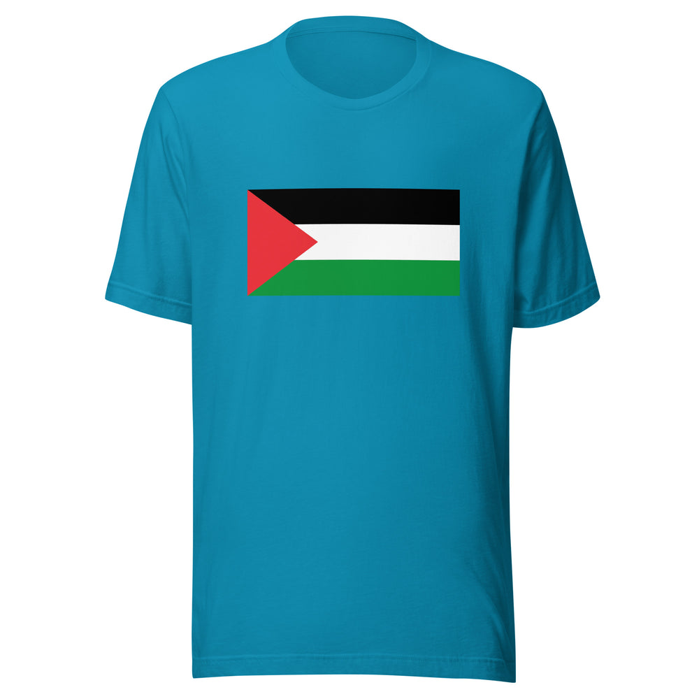 Men t-shirt - Palestine Flag, T Shirt Aqua