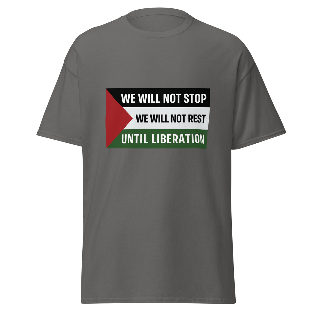 Men's Classic Tee - We Will Not Stop, Charcoal