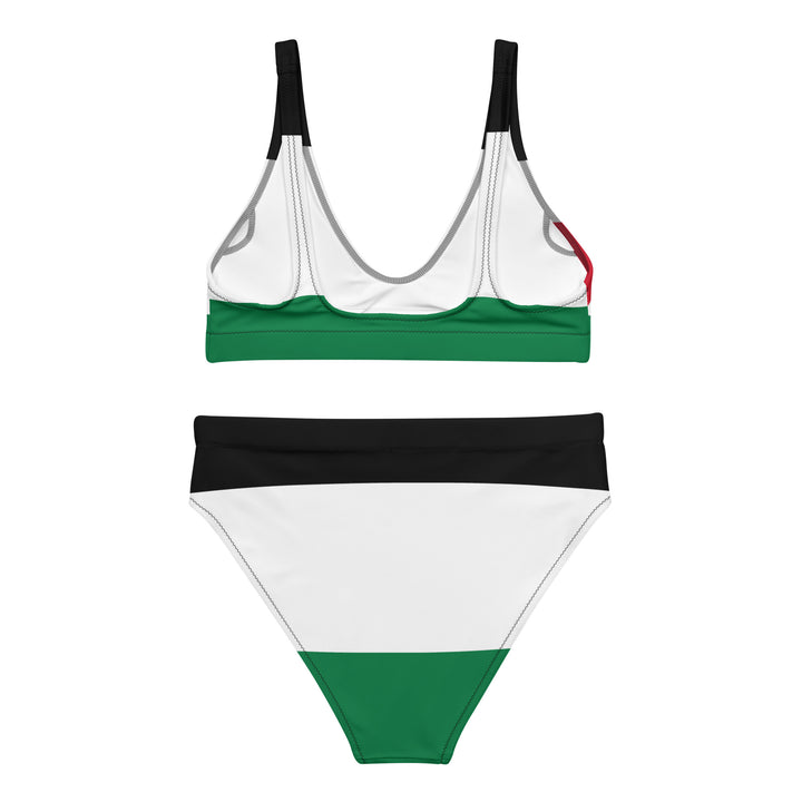 Recycled high-waisted bikini - Palestine Flag, Recycled High Waisted Bikini White