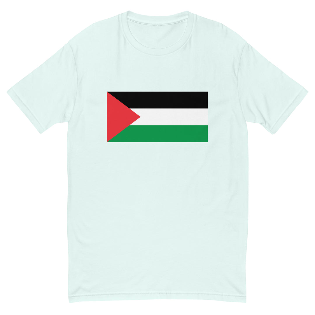 Short Sleeve T-Shirt - Palestine Flag, Mens Fitted T Shirt Light Blue