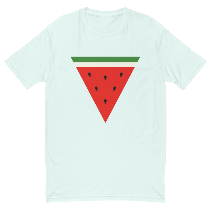 Short Sleeve T-shirt - Triangle Watermelon, Mens Fitted T Shirt Light Blue