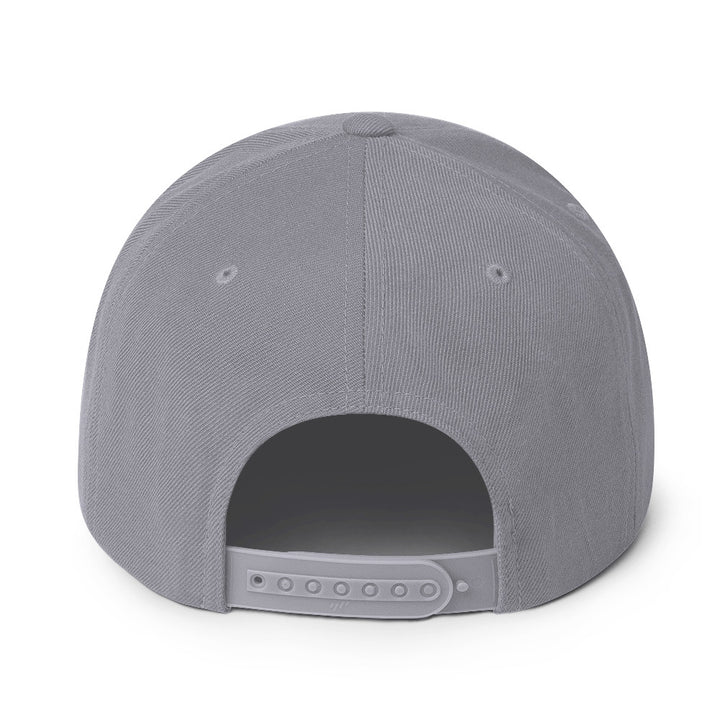 Snapback Hat - Free Palestine, Snapback Silver