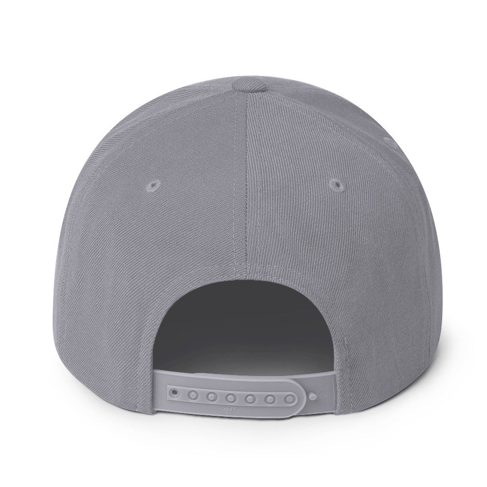 Snapback Hat - Palestine Flag, Snapback Silver