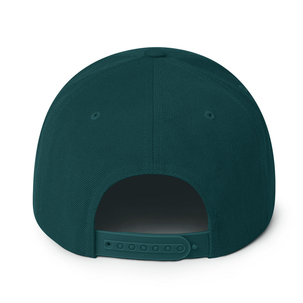 Snapback Hat - Palestine Flag, Snapback Spruce
