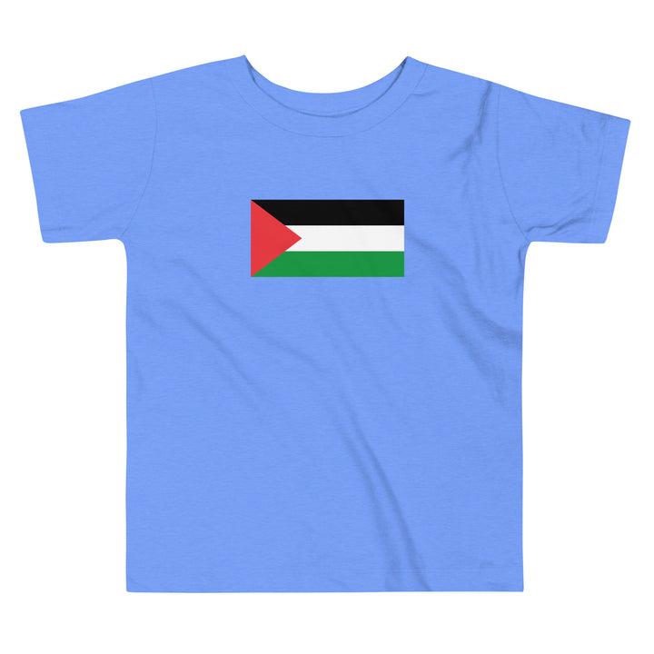 Toddler Short Sleeve Tee - Palestine Flag, Heather Columbia Blue