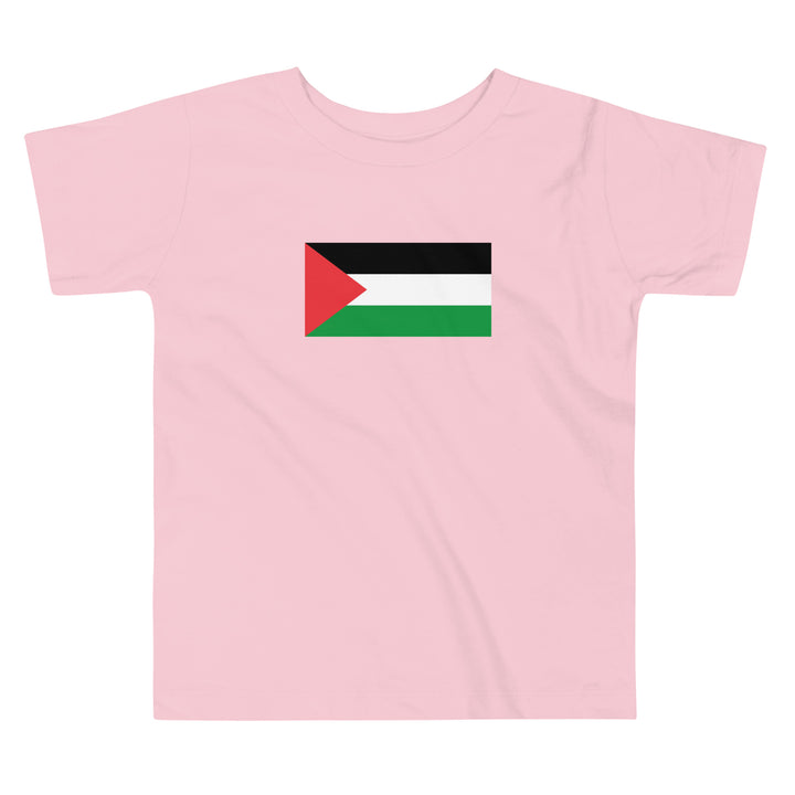 Toddler Short Sleeve Tee - Palestine Flag, Pink