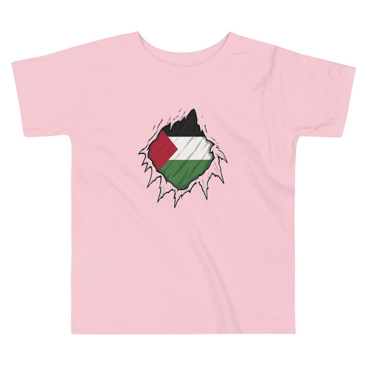 Toddler Short Sleeve Tee - Palestine Hero, Pink