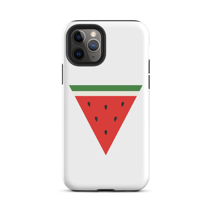 Tough Case for iPhone® - Triangle Watermelon, Matte iPhone 11 Pro