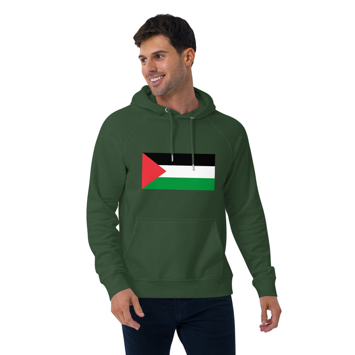 Men eco raglan hoodie | Palestine Flag