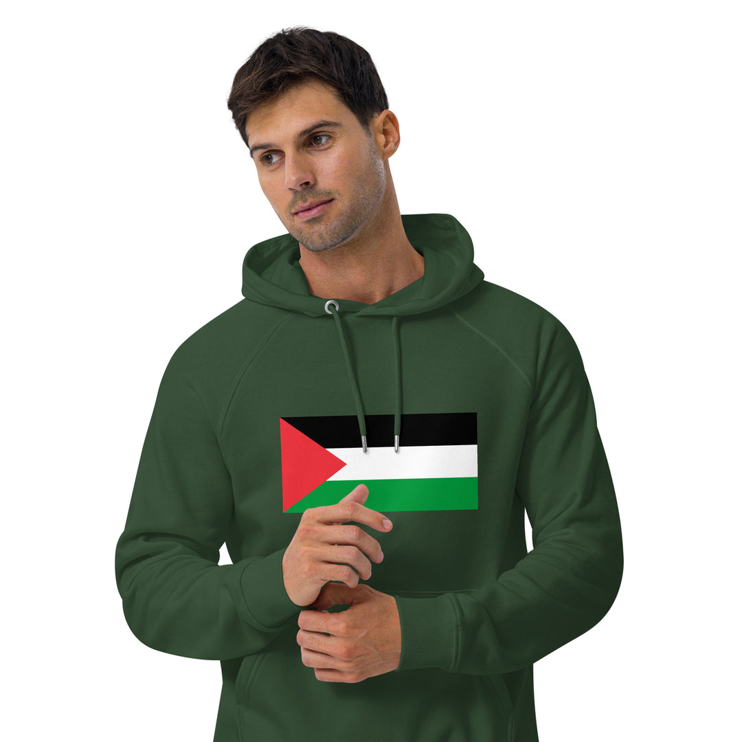 Men eco raglan hoodie | Palestine Flag