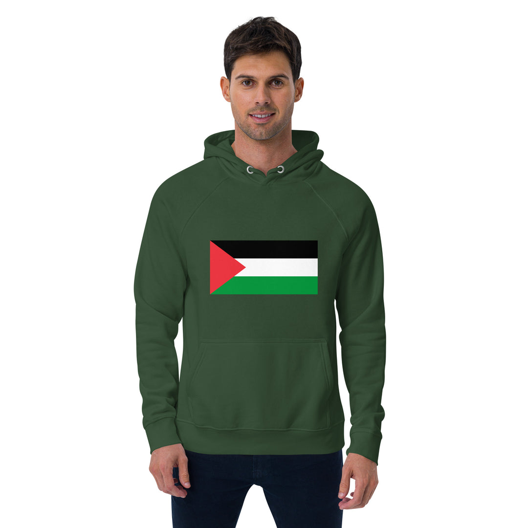 Men eco raglan hoodie | Palestine Flag