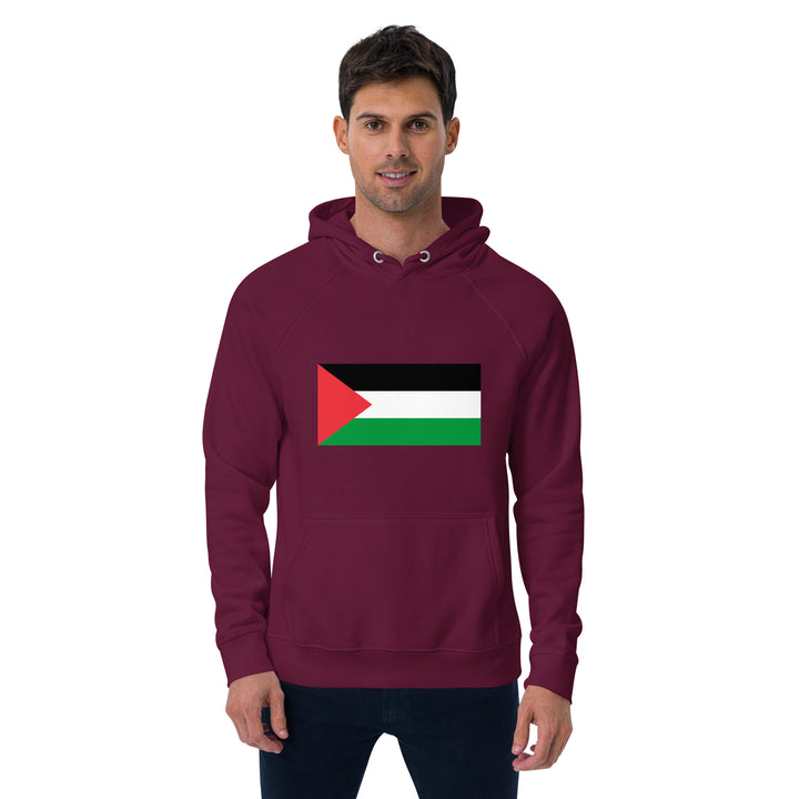 Men eco raglan hoodie | Palestine Flag