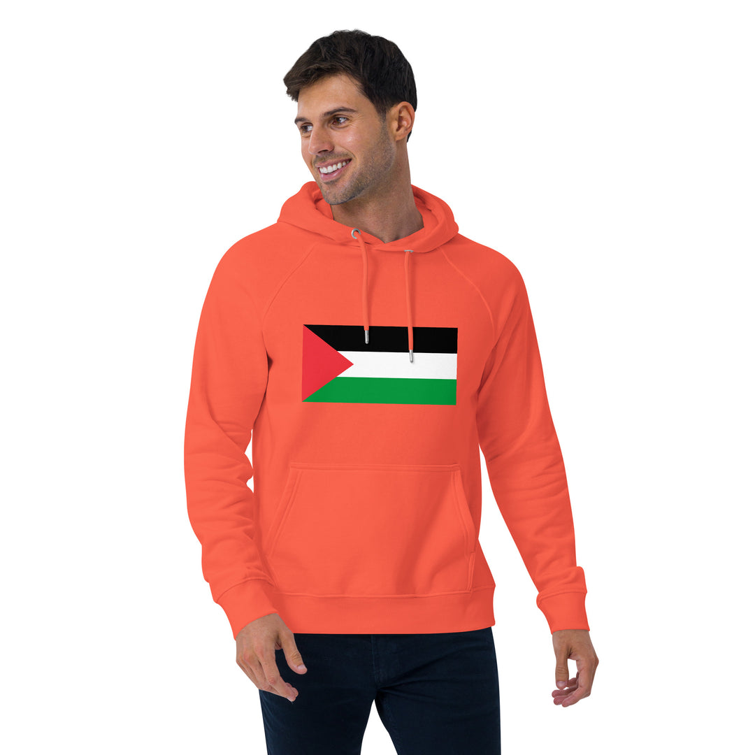 Men eco raglan hoodie | Palestine Flag