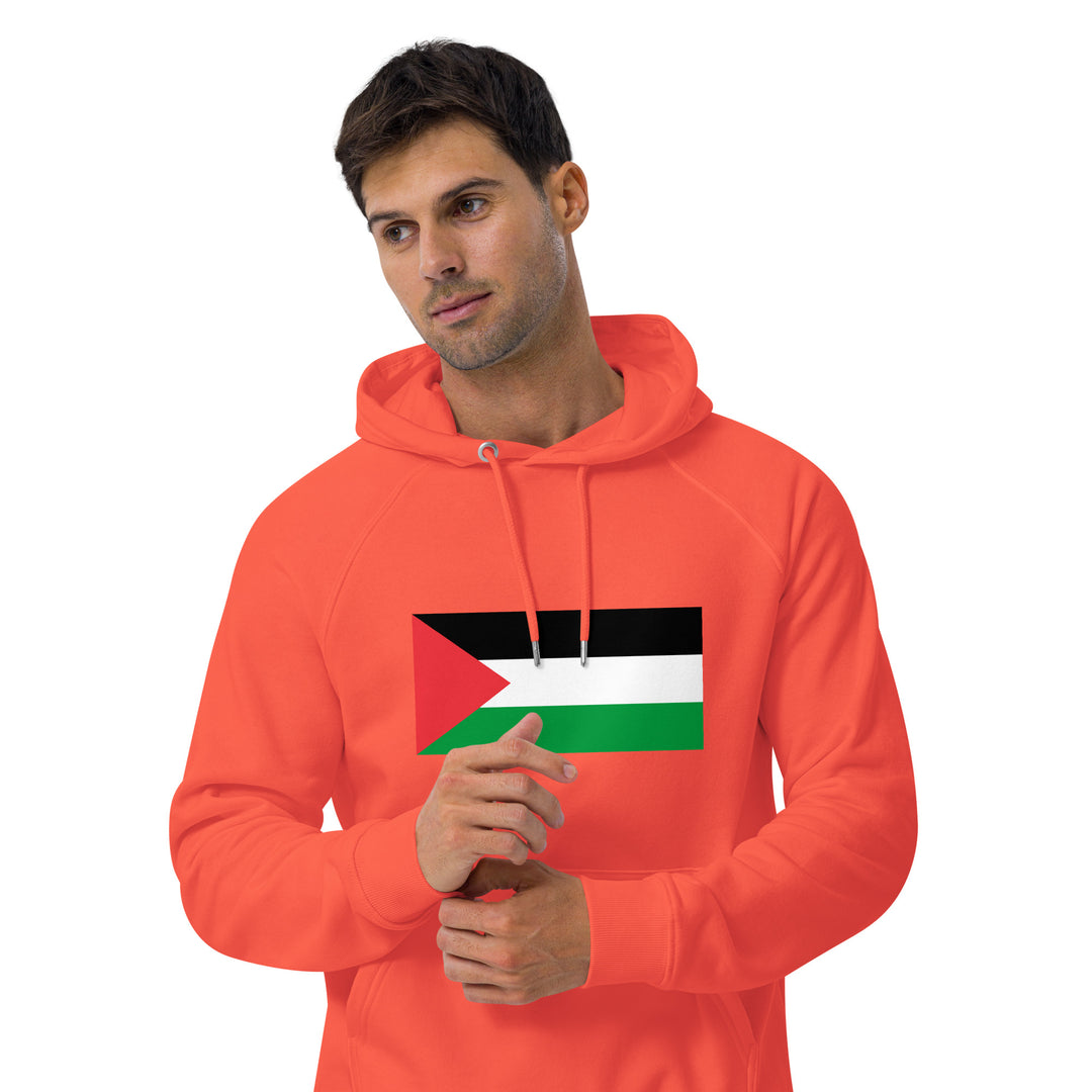 Men eco raglan hoodie | Palestine Flag