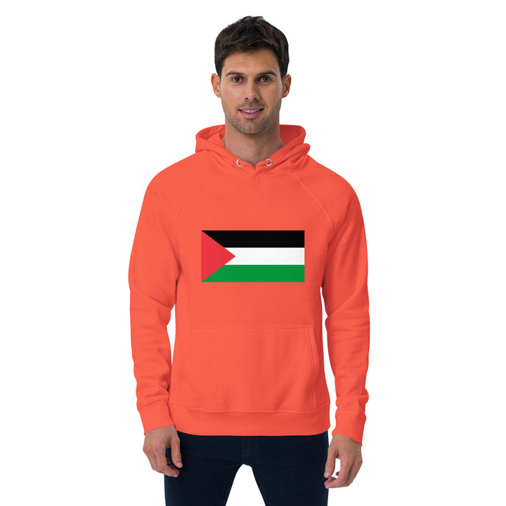 Men eco raglan hoodie | Palestine Flag