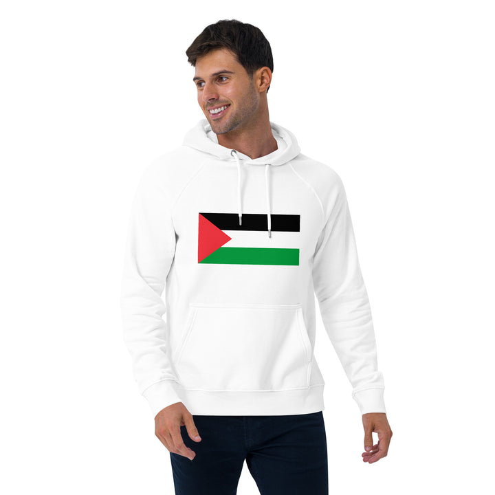 Men eco raglan hoodie | Palestine Flag