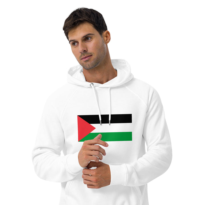 Men eco raglan hoodie | Palestine Flag