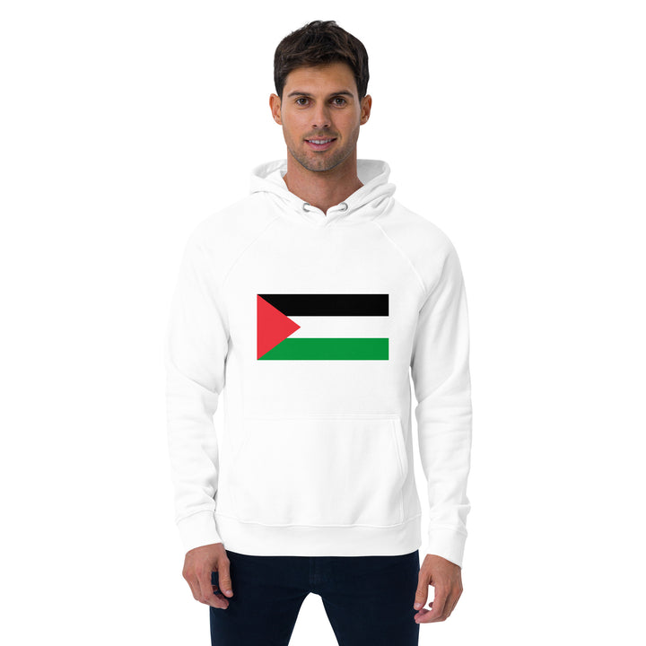 Men eco raglan hoodie | Palestine Flag