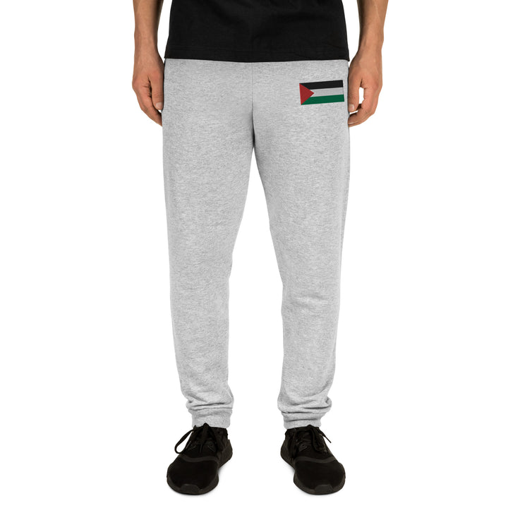 Men Joggers | Palestine Flag