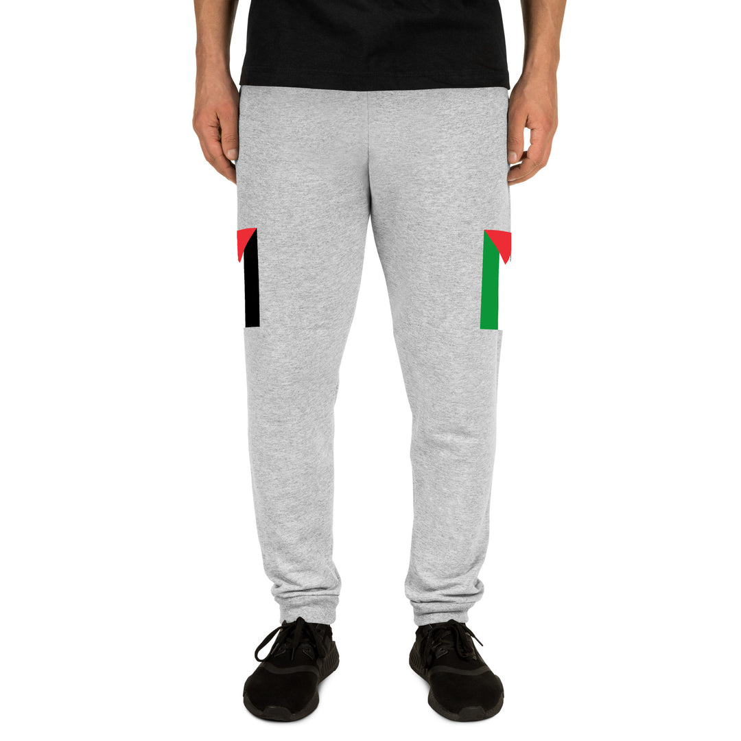 Men Joggers | Palestine Flag