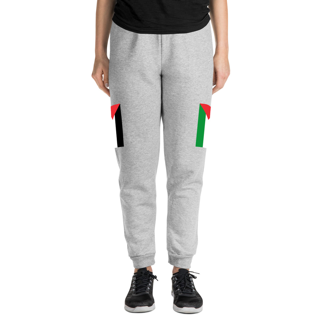 Women Joggers | Palestine Flag