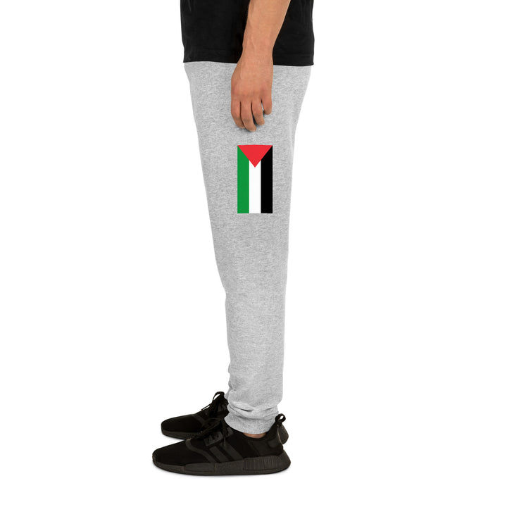 Men Joggers | Palestine Flag