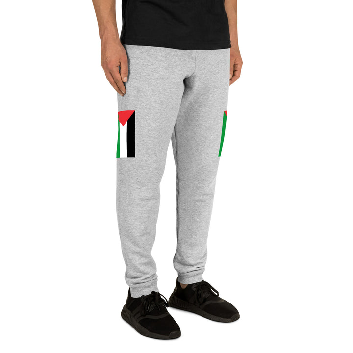 Men Joggers | Palestine Flag