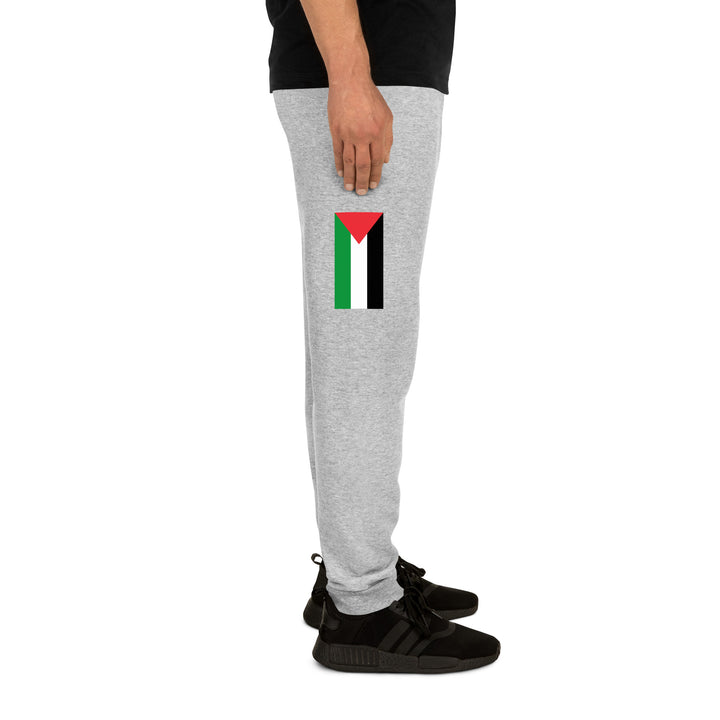 Men Joggers | Palestine Flag