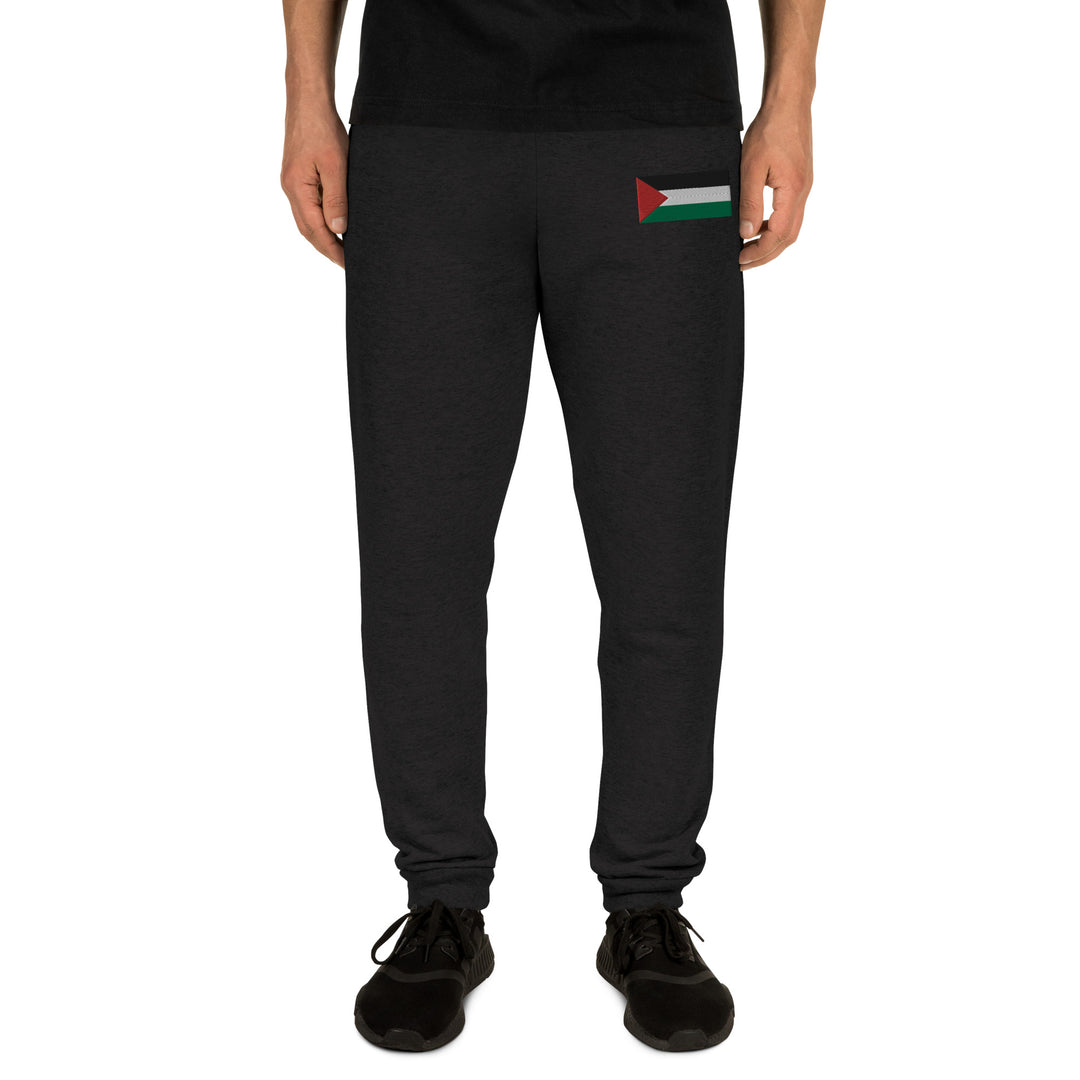 Men Joggers | Palestine Flag