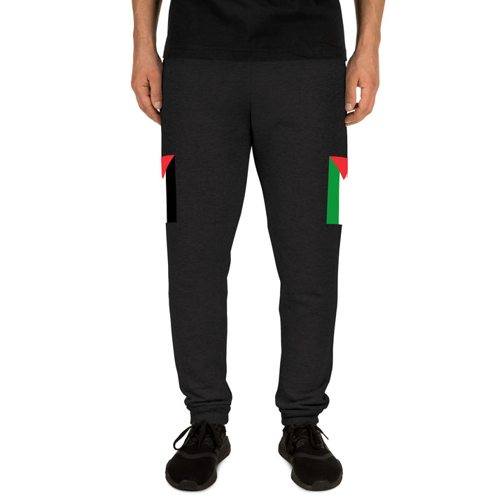 Men Joggers | Palestine Flag