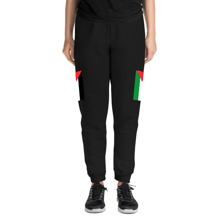 Women Joggers | Palestine Flag