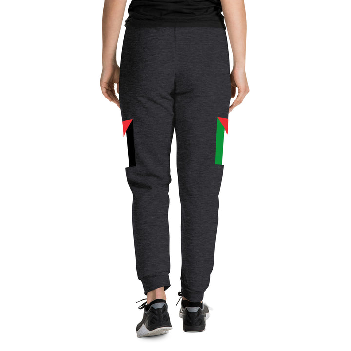 Women Joggers | Palestine Flag