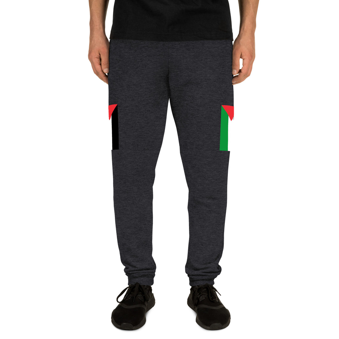 Men Joggers | Palestine Flag