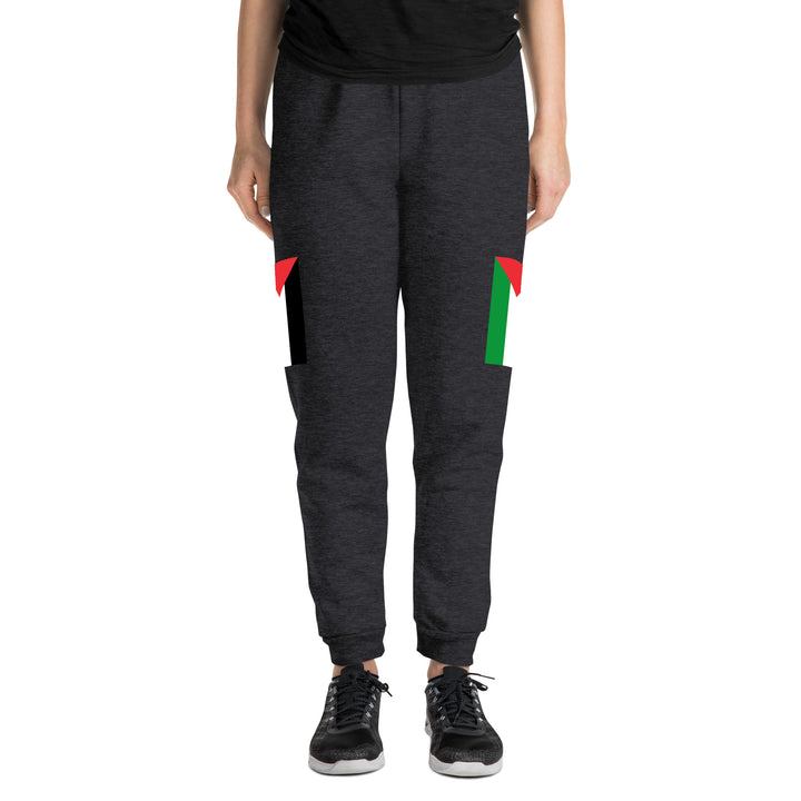 Women Joggers | Palestine Flag