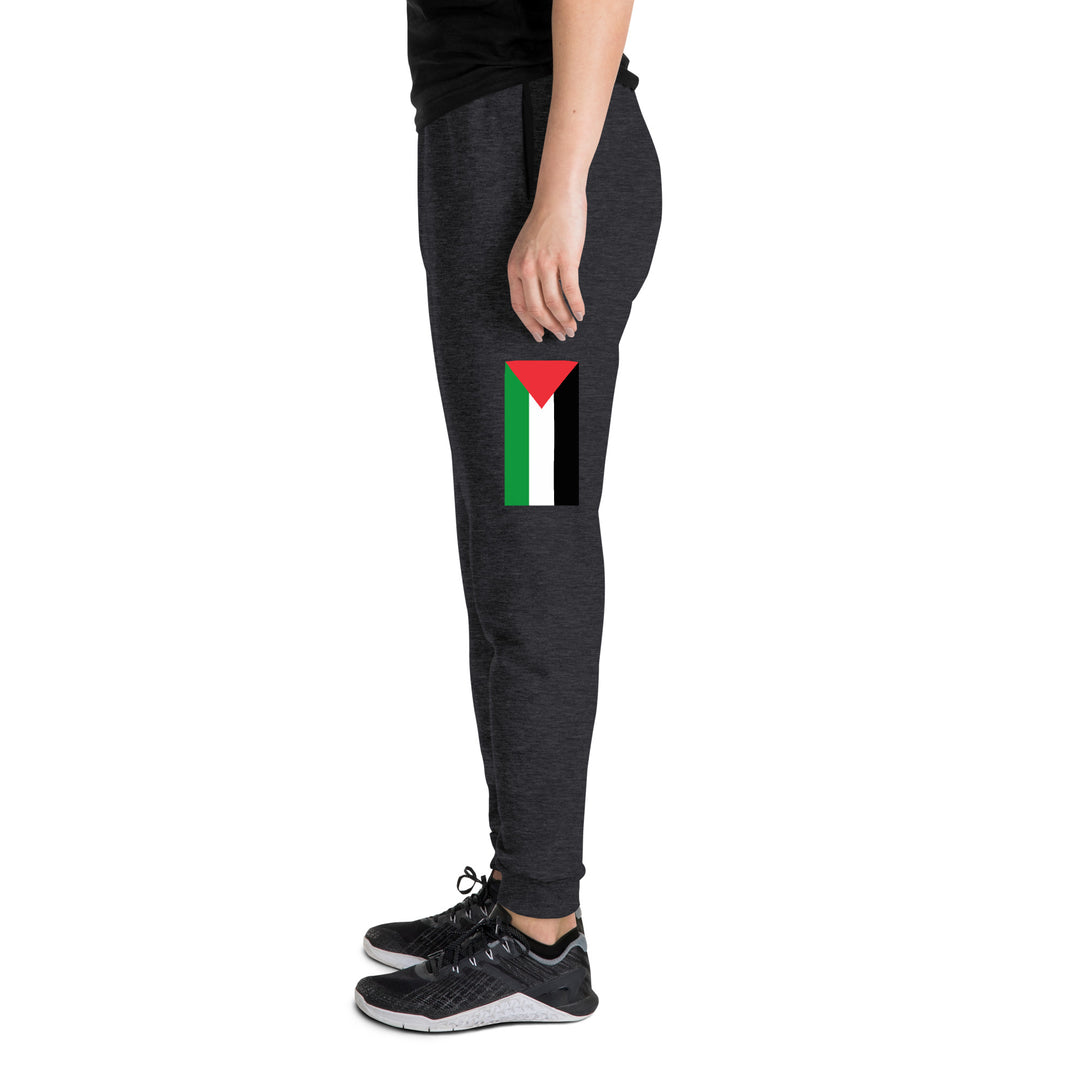 Women Joggers | Palestine Flag