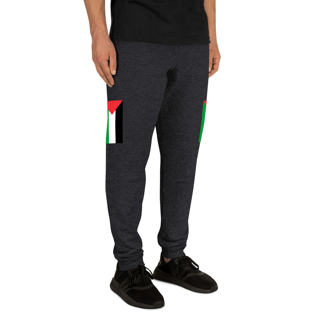 Men Joggers | Palestine Flag