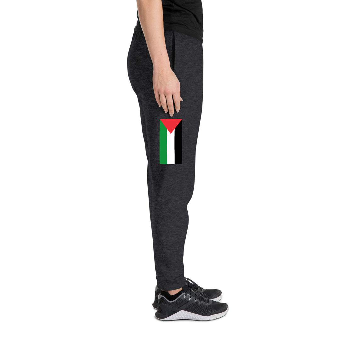 Women Joggers | Palestine Flag