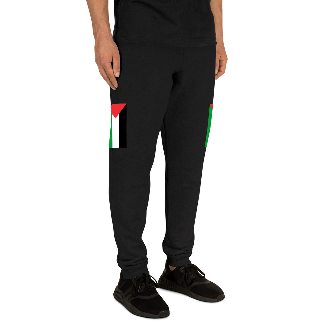 Men Joggers | Palestine Flag