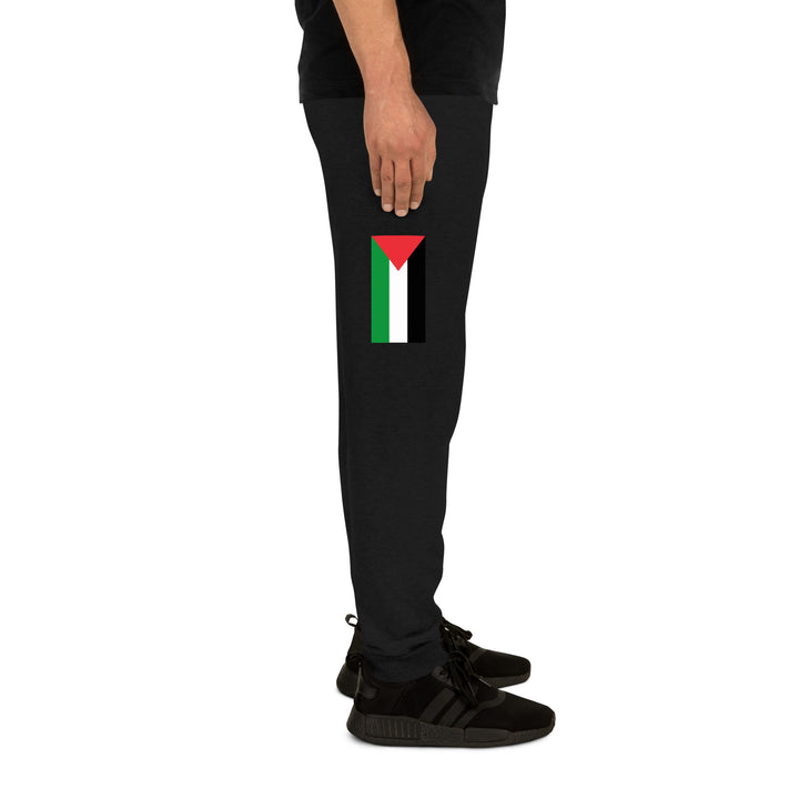 Men Joggers | Palestine Flag