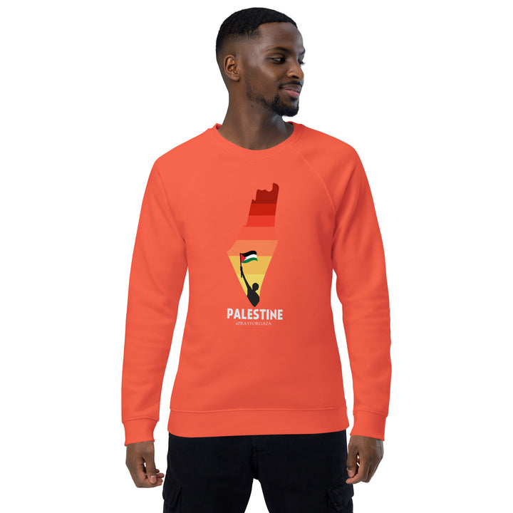 Men organic raglan sweatshirt | Palestine Map