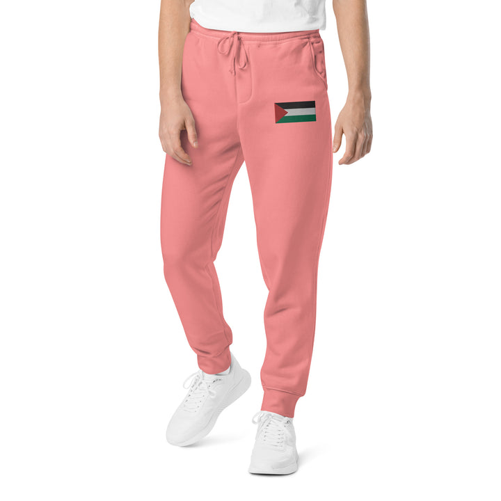 Men pigment-dyed sweatpants | Palestine Flag