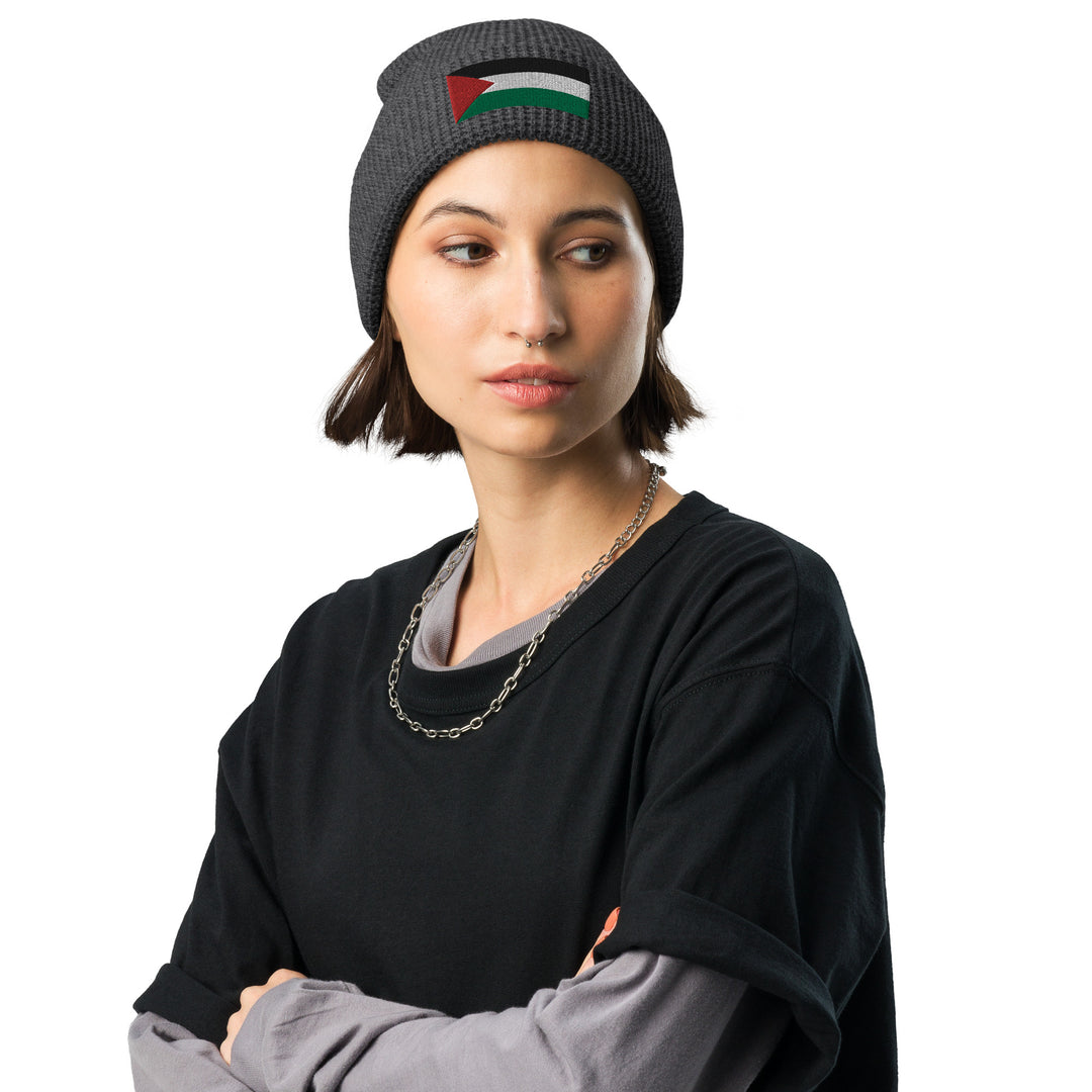 Waffle beanie | Palestine Flag