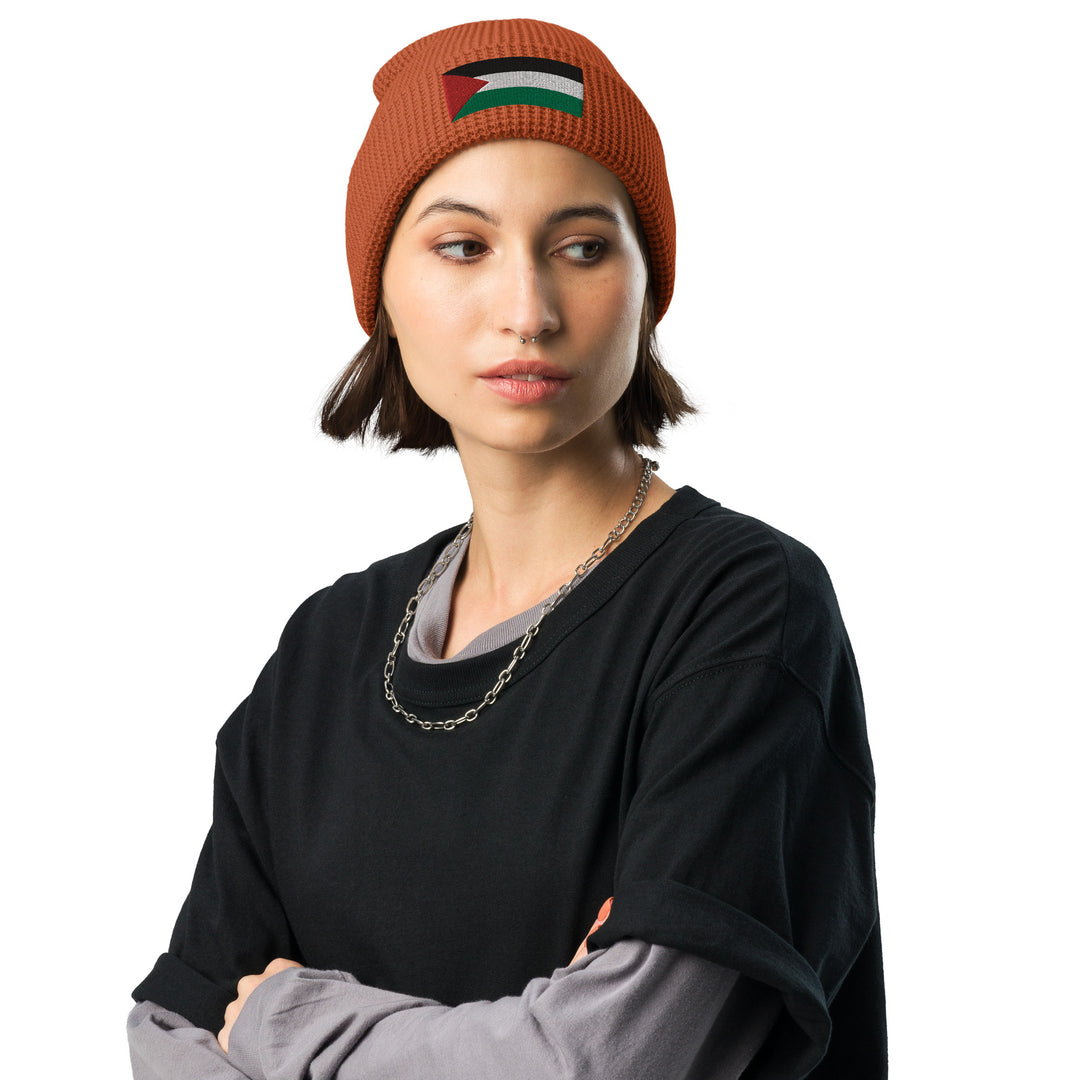 Waffle beanie | Palestine Flag