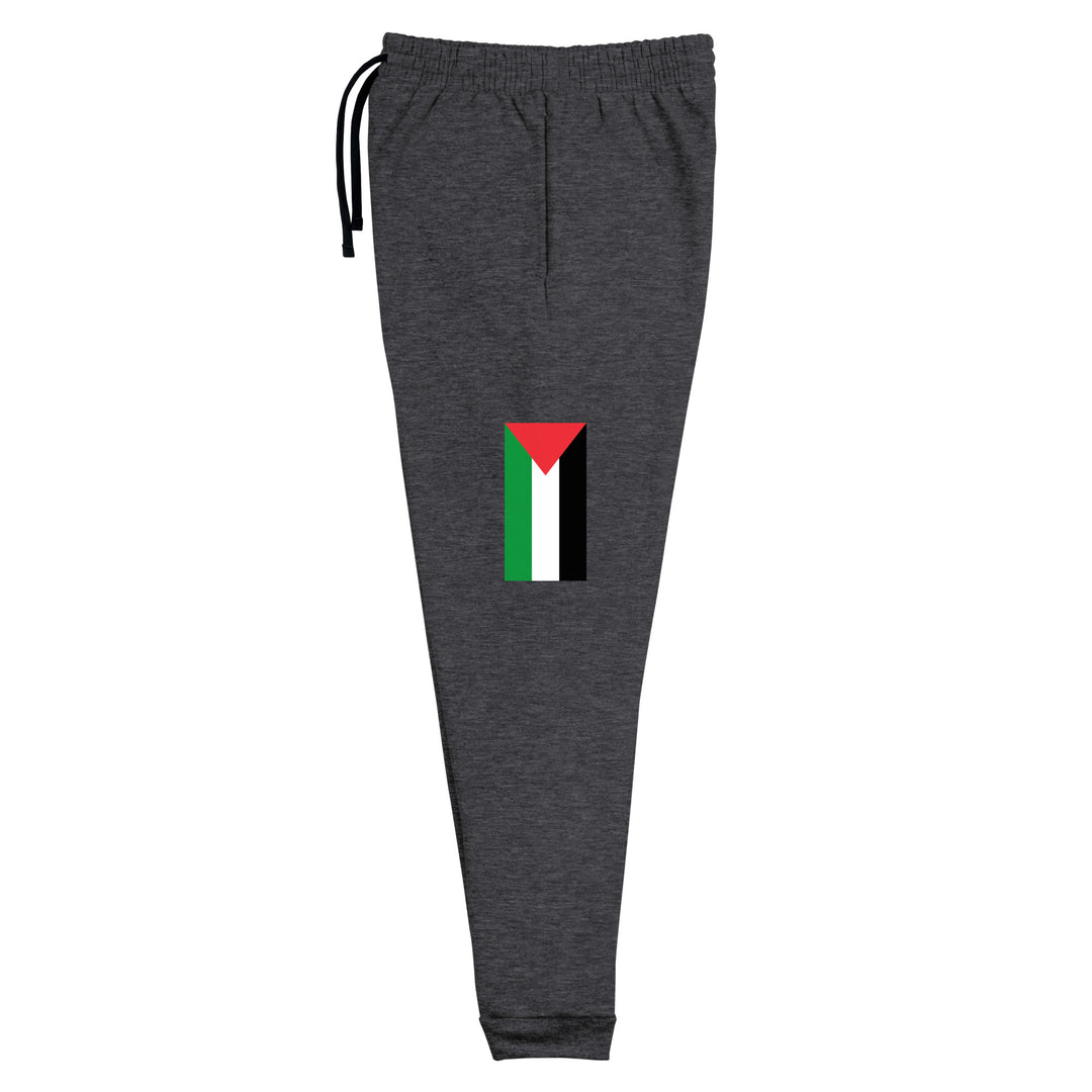 Women Joggers - Palestine Flag, Black Heather Left Leg